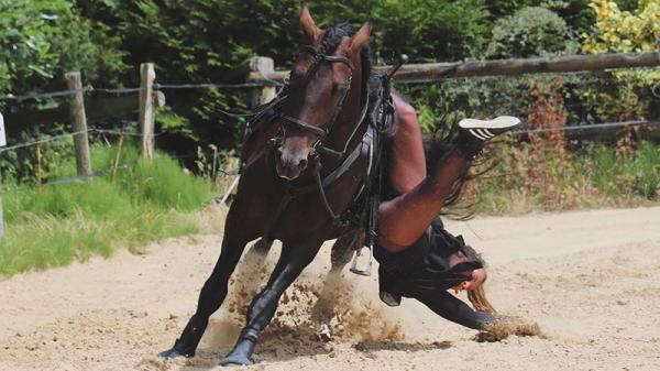 Les arts en piste