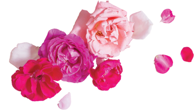 décoration fleurs