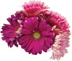 décorations fleurs