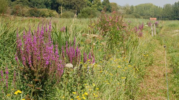 Balade immersive en pleine nature
