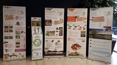 Exposition "Jardiner au naturel" à la bibliothèque