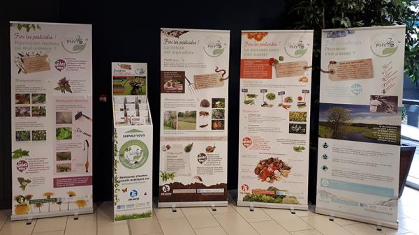 Exposition "Jardiner au naturel" à la bibliothèque