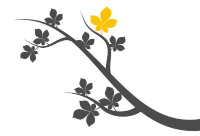 illustration de la saison culturelle