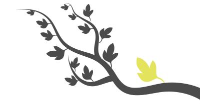 illustration de la saison culturelle