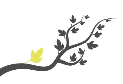 illustration de la saison culturelle