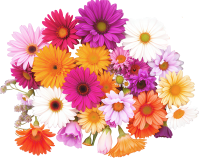 décorations fleurs