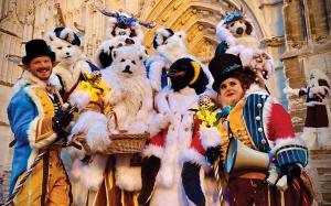 La brigade animalière