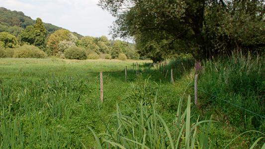 Le domaine du Colmoulins