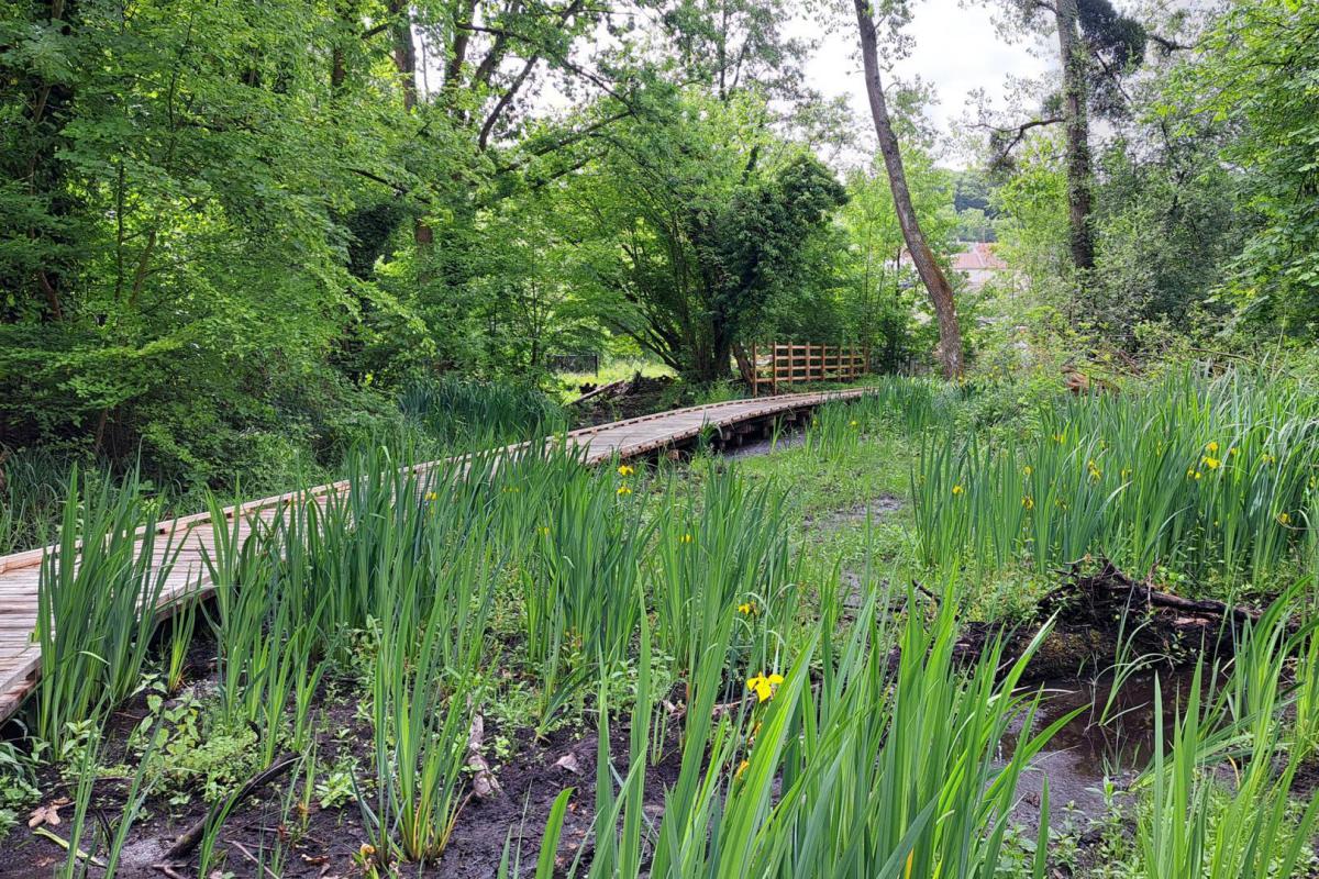 Domaine du Colmoulins à Harfleur - ©Julien Paquin - Département de la Seine-Maritime - lehavreseinemétropole