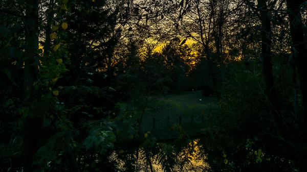 Les mystères de la nuit - Découverte faune, flore - Par la LPO Normandie