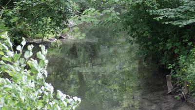 Randonnée au domaine du Colmoulins - 4km