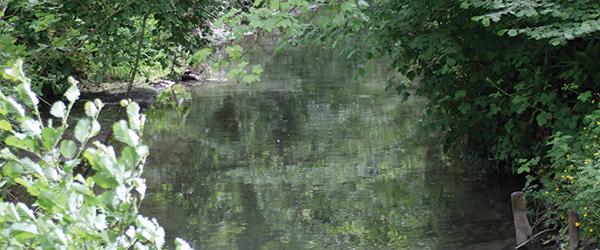 Randonnée au domaine du Colmoulins - 4km - Animée par CARDERE