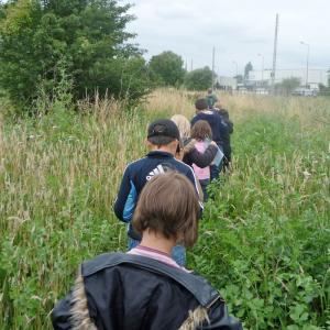 Animation enfants - Domaine du Colmoulins