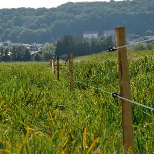 Domaine du Colmoulins