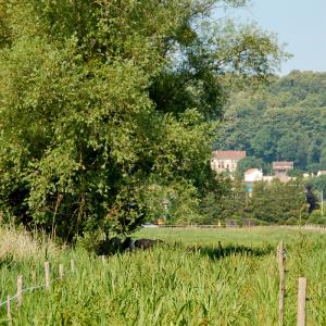 Domaine du Colmoulins
