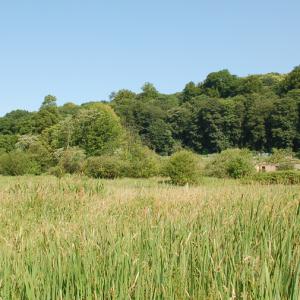 Domaine du Colmoulins