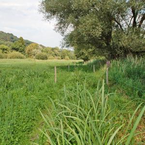 Domaine du Colmoulins