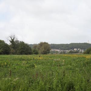 Domaine du Colmoulins