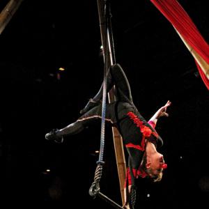 Fête de la Scie 2016