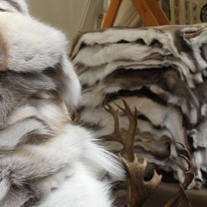 Fête de la Scie samedi 7 avril 2018