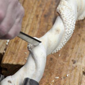 Fête de la Scie dimanche 8 avril 2018