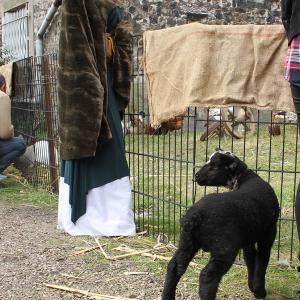 Fête de la Scie samedi 7 avril 2018
