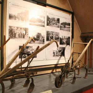 Collection - Musée du Prieuré