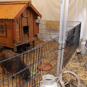 © Service communication - Ville d'Harfleur