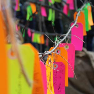 © Service communication - Ville d'Harfleur