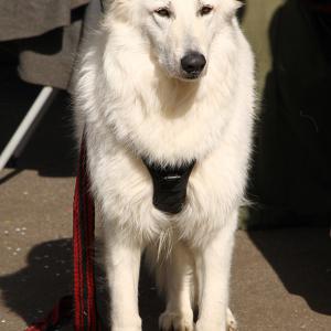 © Service communication - Ville d'Harfleur