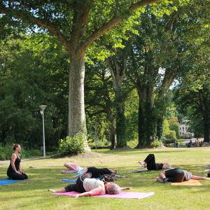 Un été au parc - Stage de yoga