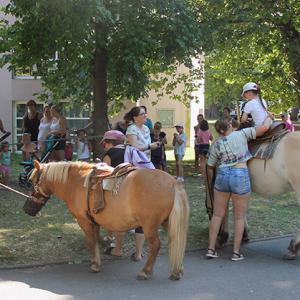 Un été au parc - Un après-midi pas comme les autres