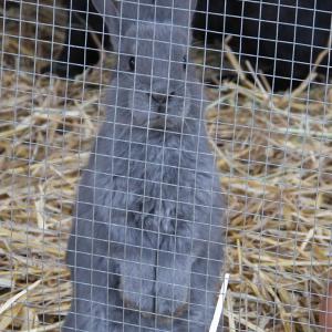 Marché de Noël 2022