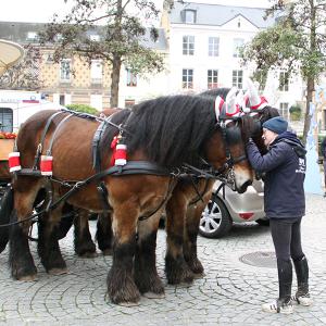 Marché de Noël 2022