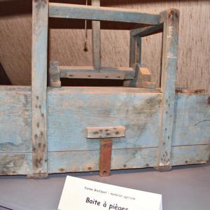 Collection - Musée du Prieuré