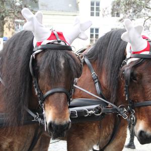 Marché de Noël 2023