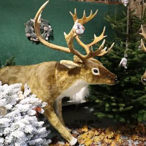 Marché de Noël 2024