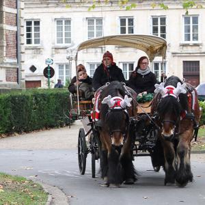 Marché de Noël 2024