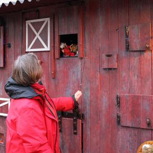 Marché de Noël 2024